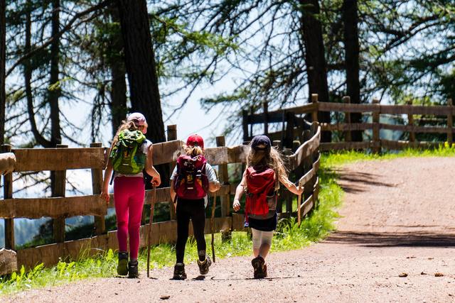 Drei Kinder mit Rucksäcken wandern auf einem Weg entlang eines Holzzauns durch den Wald